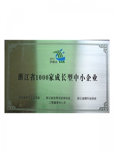浙江省1000家成長(zhǎng)型中小企業(yè)